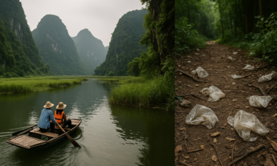 Ecotourism in Vietnam: 4 Real Destinations and Why 'Eco' Isn't Always What It Seems (2026)