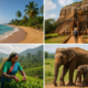 Sri Lanka Without the Crowds: 10-Day Itinerary Hitting the Highlights