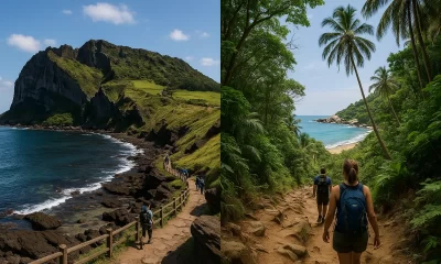 Adventure Beyond the Beach: Things to Do in Jeju, South Korea & Tayrona Park, Colombia