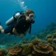 Scuba Diving in Southeast Asia 2026: Best Sites, Local Tips & Budget Breakdown