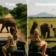 Sri Lanka Safari Showdown: Yala vs. Udawalawe—Which Park Should You Actually Visit?